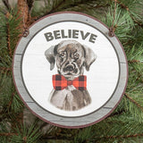 BELIEVE ORNAMENT